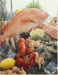 Langsford Road Lobsters and Fish House Cape Porpoise, Kennebunkport Maine