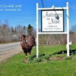 Antiques on Nine Kennebunk Maiine